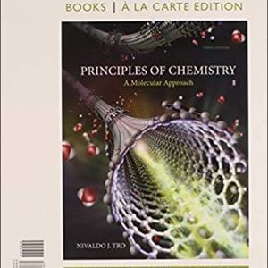 Principles of chemistry a molecular approach